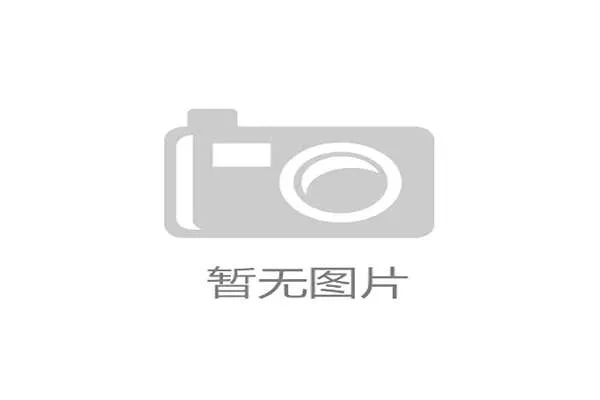 新闻中心亮点回顾研发团队阶段性成就增强资本市场信心，研发团队建设有哪些方面