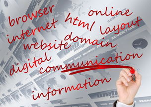 开云体育官方下载-校园体育赛事品牌建设路径与传播策略研究，校园体育竞赛体系